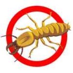 Termite Control Jacksonville FL