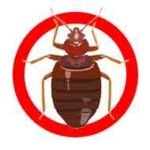 Bug control Jacksonville