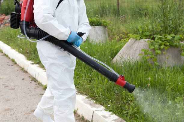 Mosquito Control Jacksonville