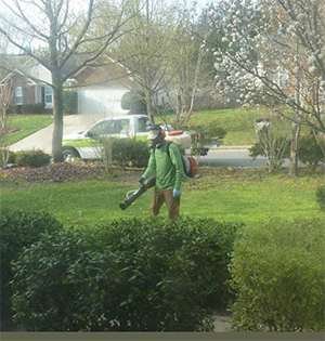 Ant exterminator jacksonville fl