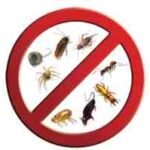 pest control jacksonville fl